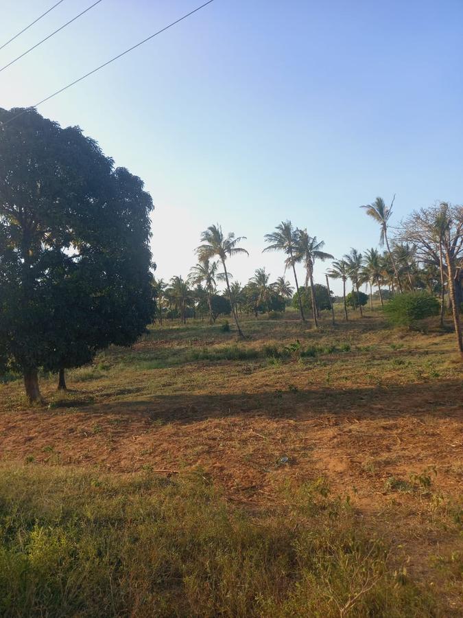 Land at Mavueni Kaloleni Road - 1