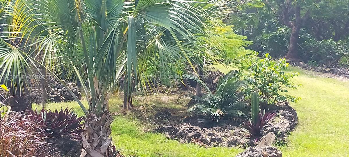 3 Bed House with En Suite in Vipingo - 9