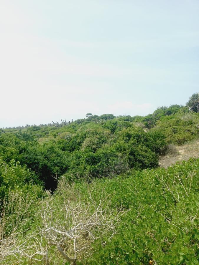 Land in Malindi - 6