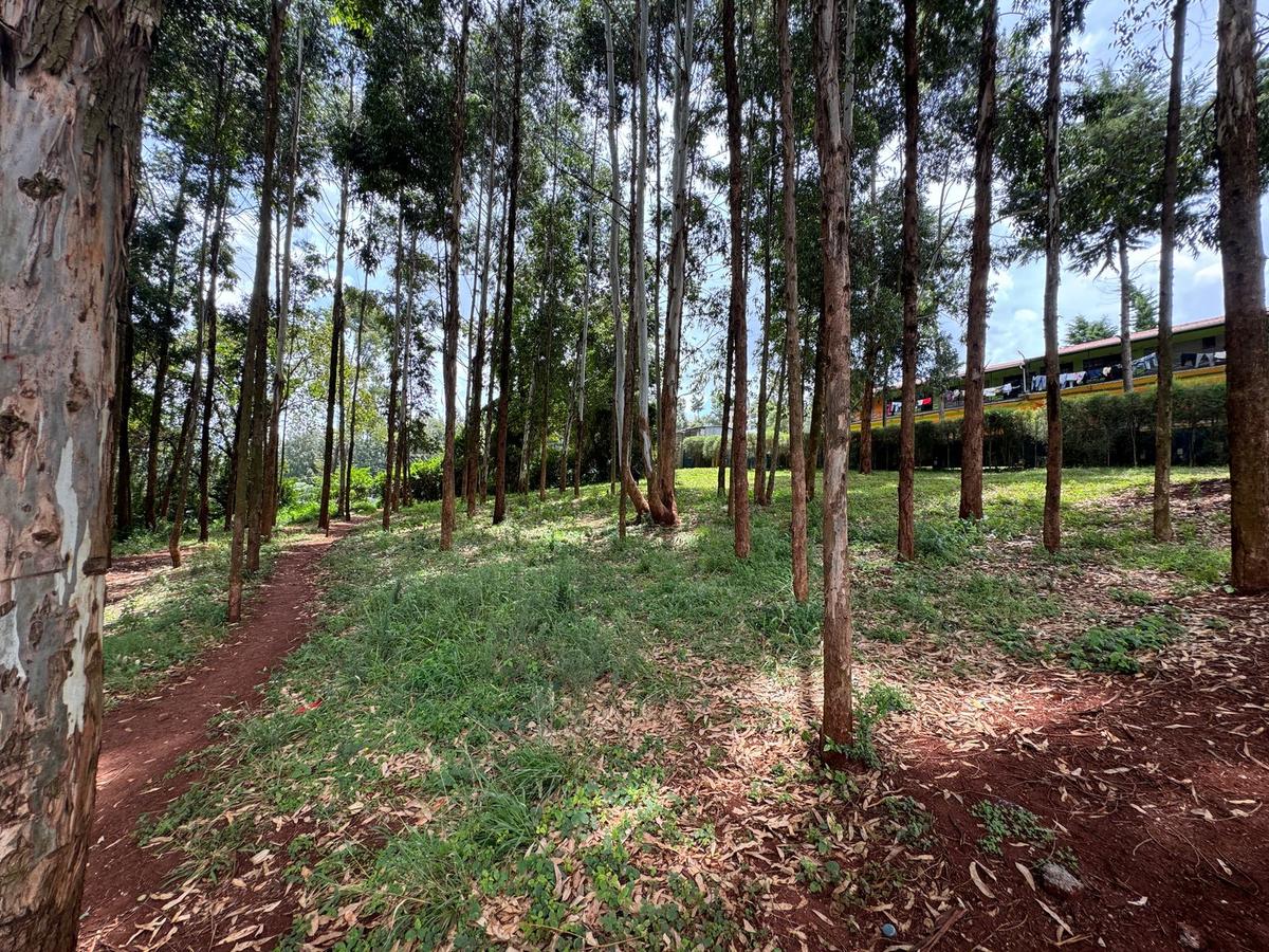 Land in Uthiru - 7