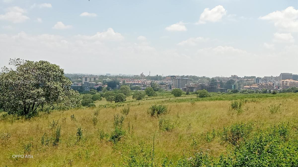 Residential Land in Runda - 14