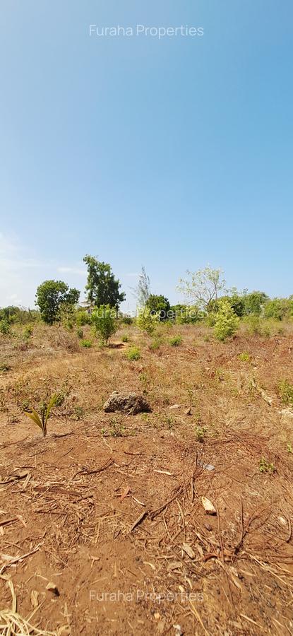 Land at Vipingo - 16