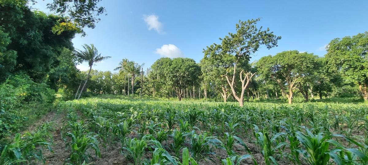 1 ac Land at Mtwapa - 3