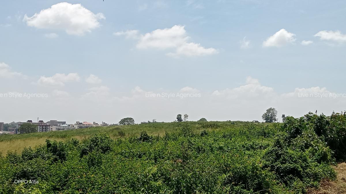 Residential Land in Runda - 15