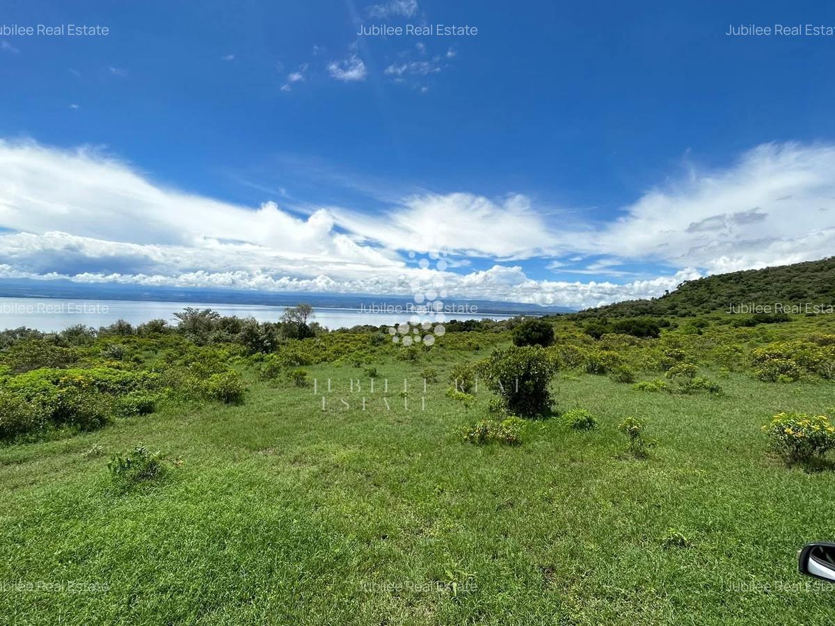 21.1 ac Land in Naivasha - 1