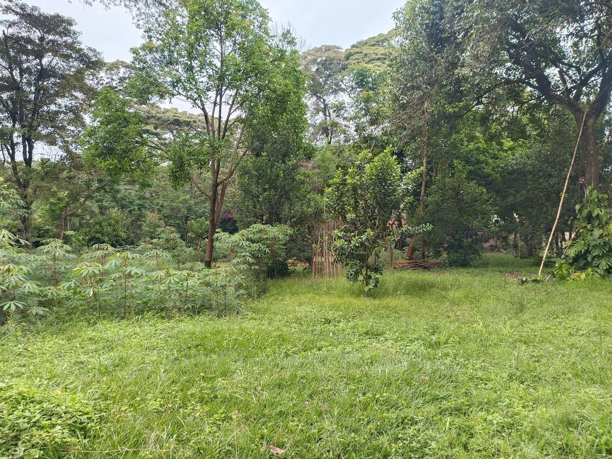 1 ac Land at Old Muthaiga - 7