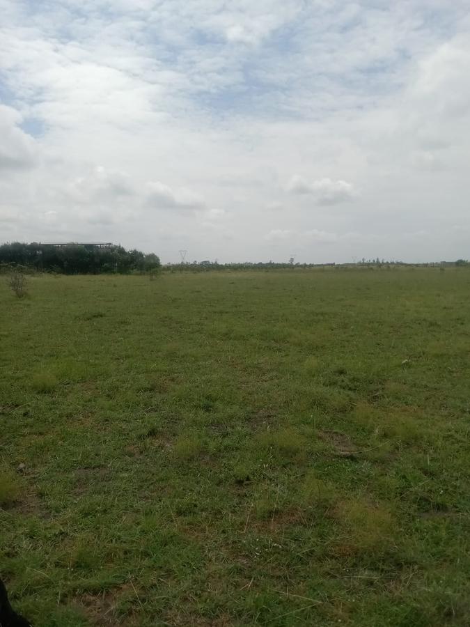 Land in Juja Farm - 8