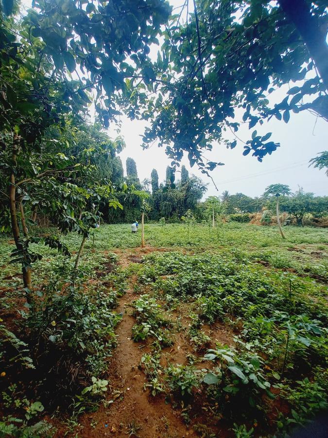 1 ac Land in Mtwapa - 9