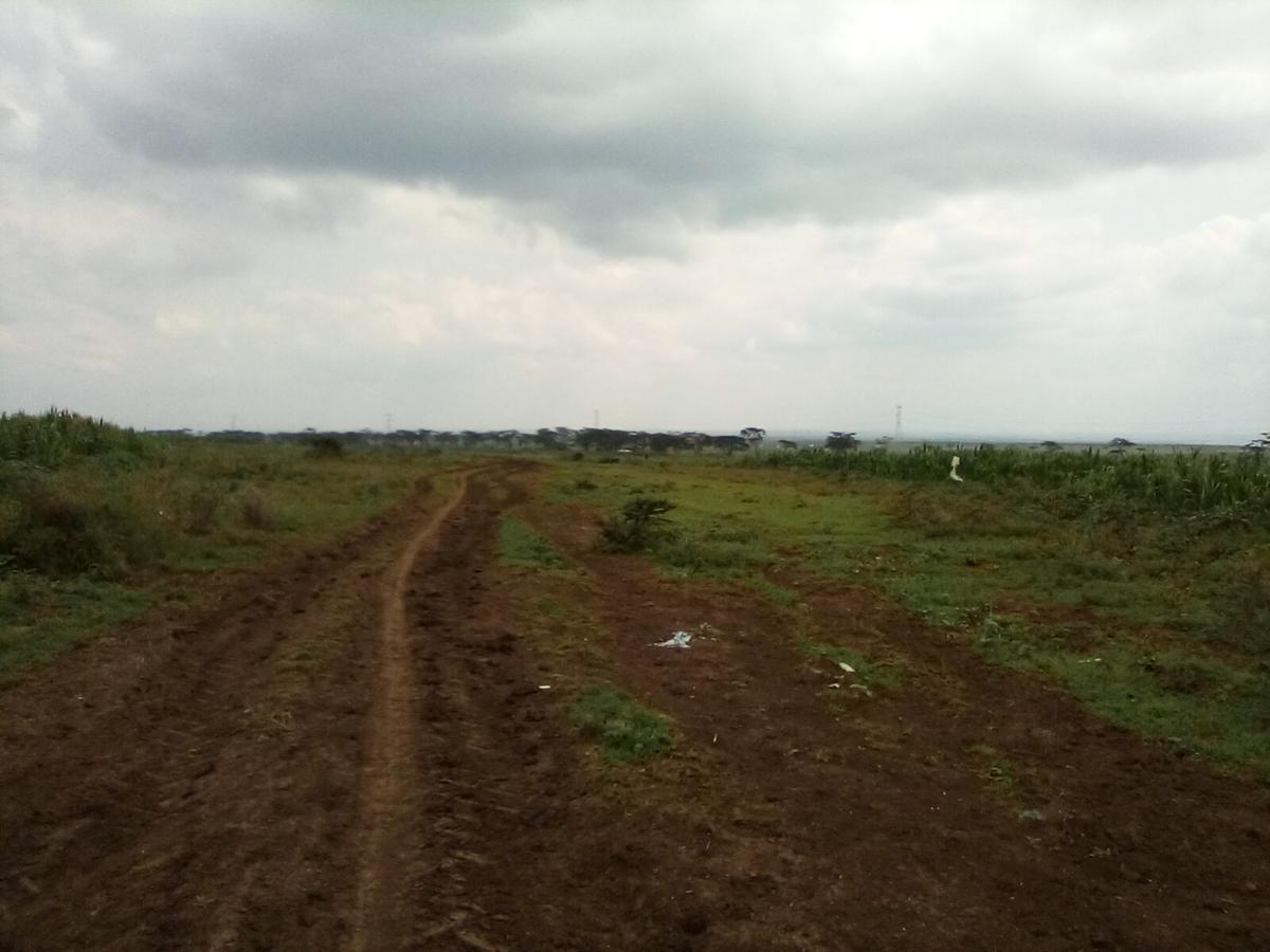 Land at Nanyuki - Rumuruti Rd - 9