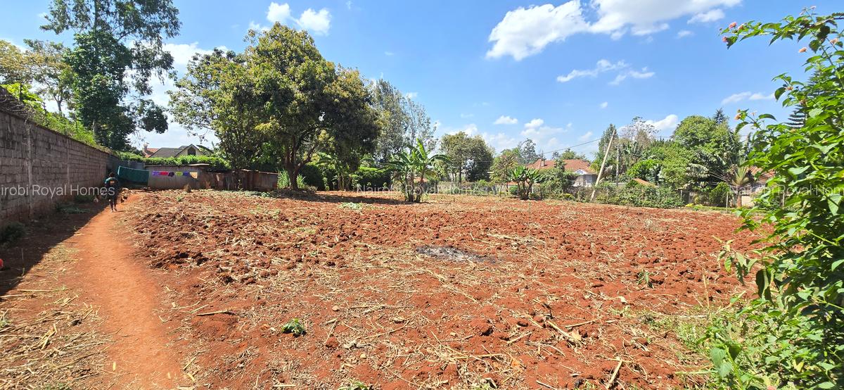Residential Land at Runda Road - 18