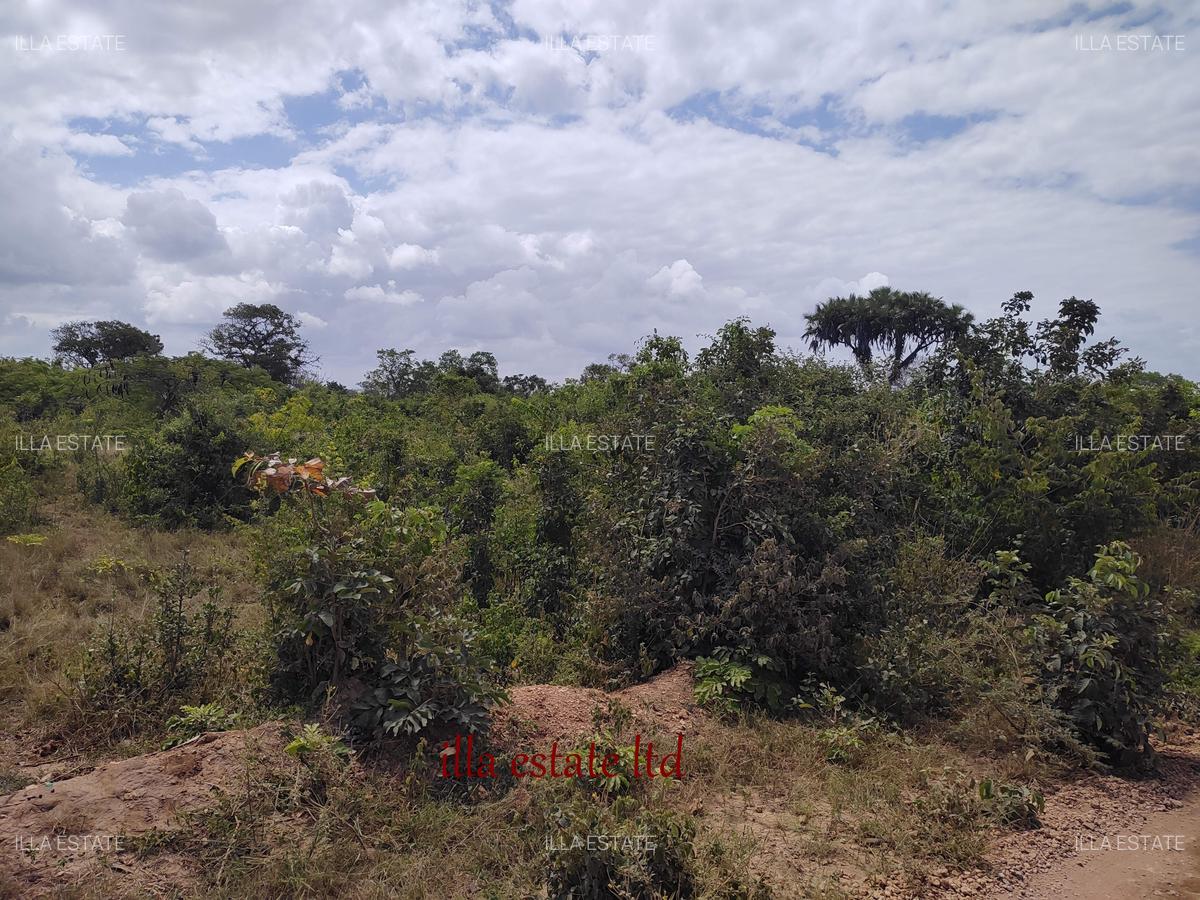 1.00 ac Residential Land at Diani Beach Road - 6