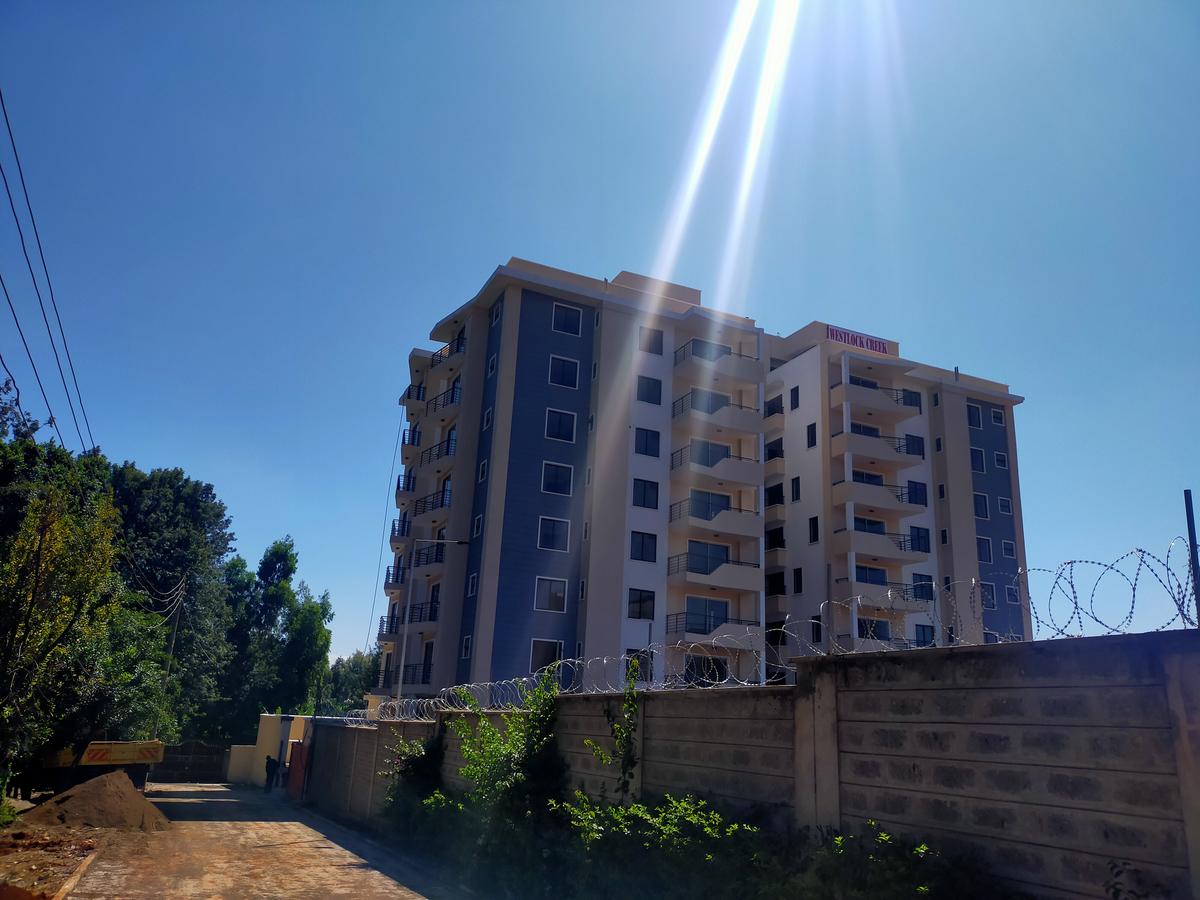 3 Bed Apartment with En Suite in Ruaka - 19