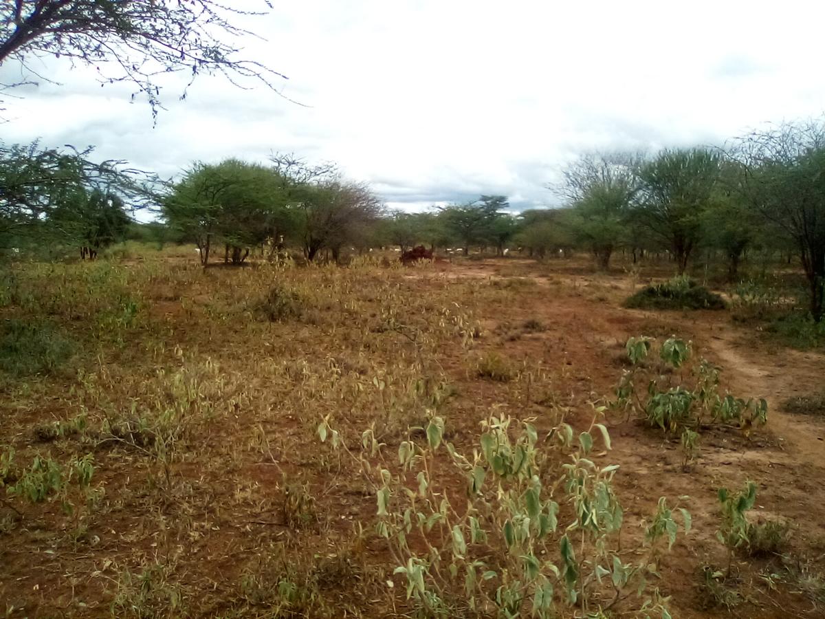 Land at Namanga Rd - 6