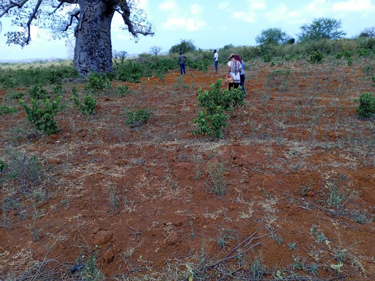 5,000 ft² Land at Mavueni - 5