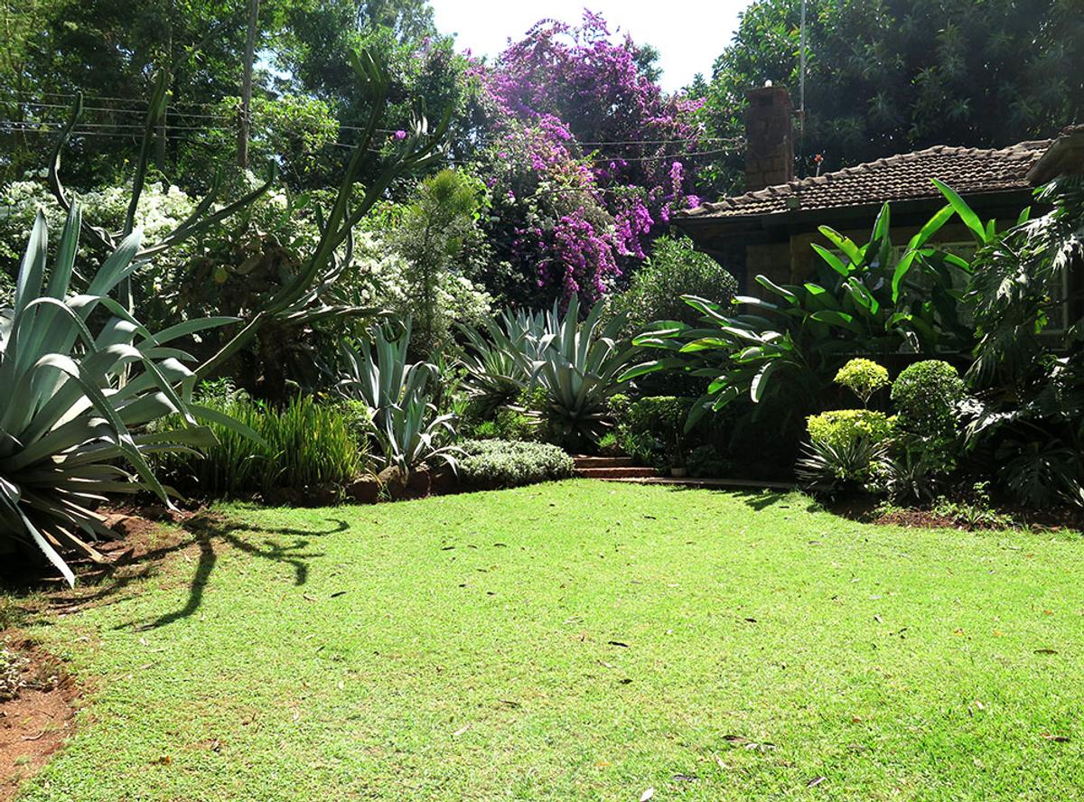 4 Bed House with Staff Quarters in Lavington - 5