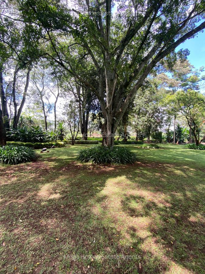 2.00 ac Land in Runda - 8