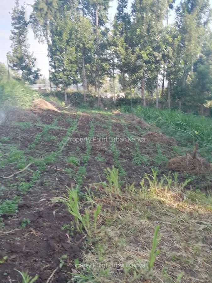 2.5 ac Land at Village (Mbiriri Muthaiga) - 8
