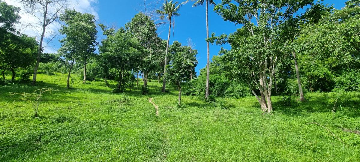 2.5 ac Land at Mtwapa Creekside - 17