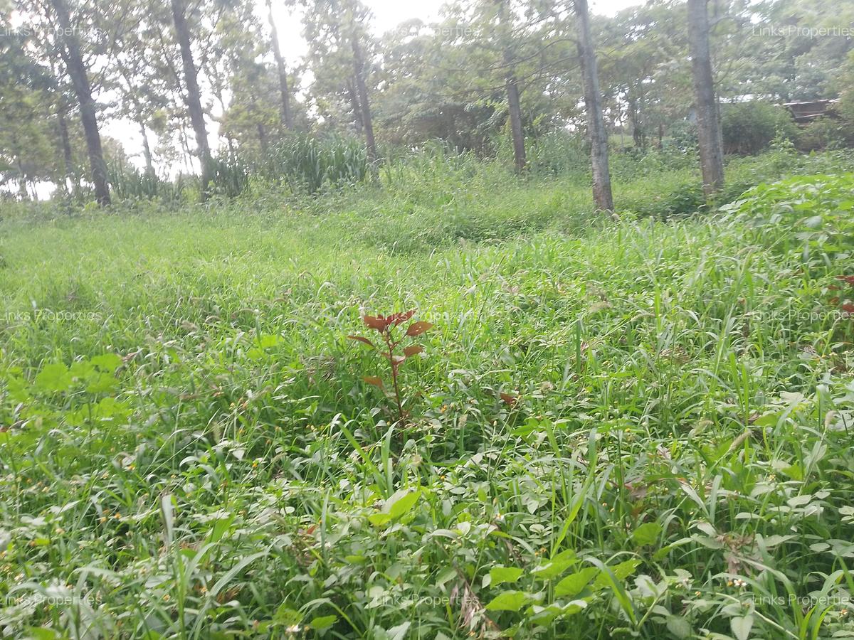 Land at Kibiko Ngong - 6