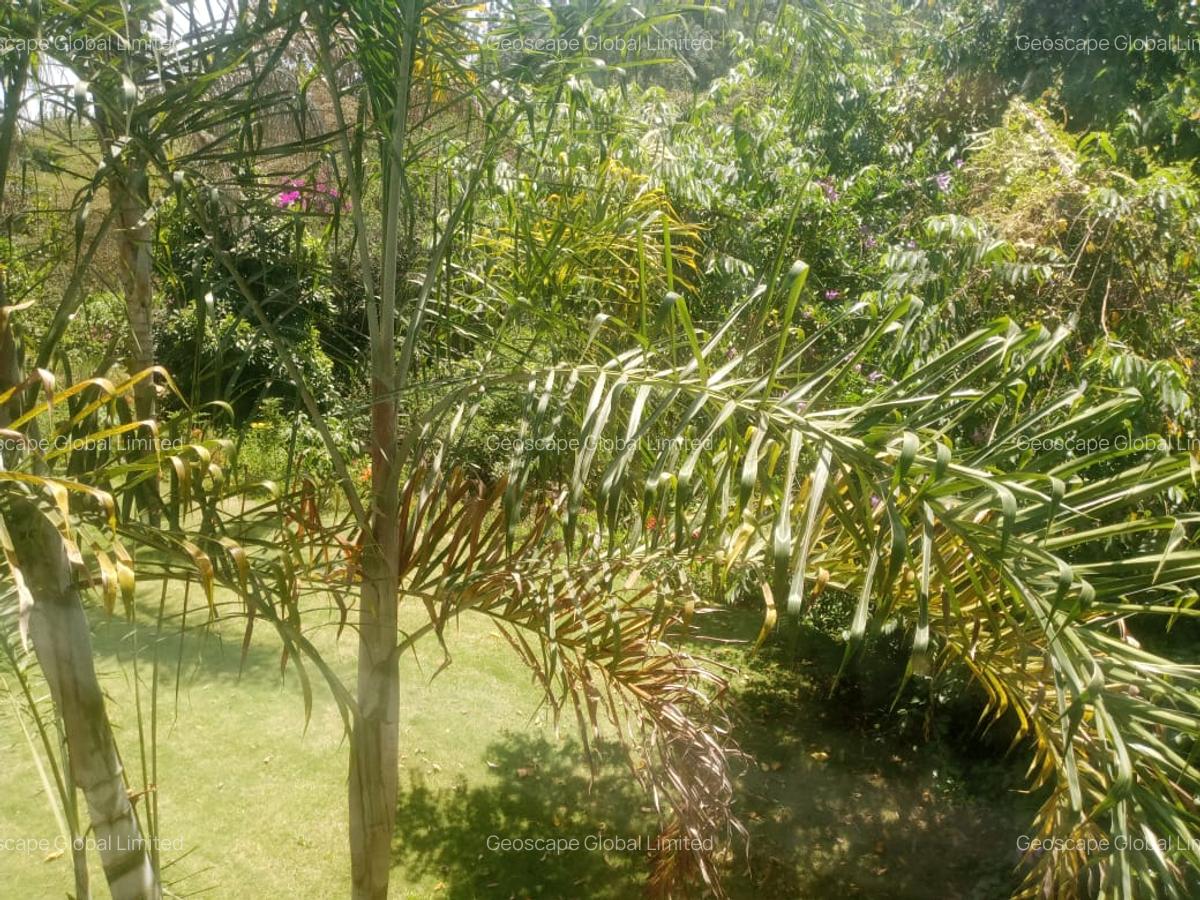 Furnished 2 Bed Apartment with En Suite in Gigiri - 8