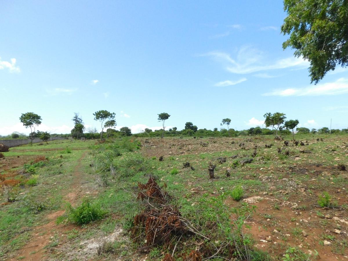 10,000 ft² Land at Vipingo - 8