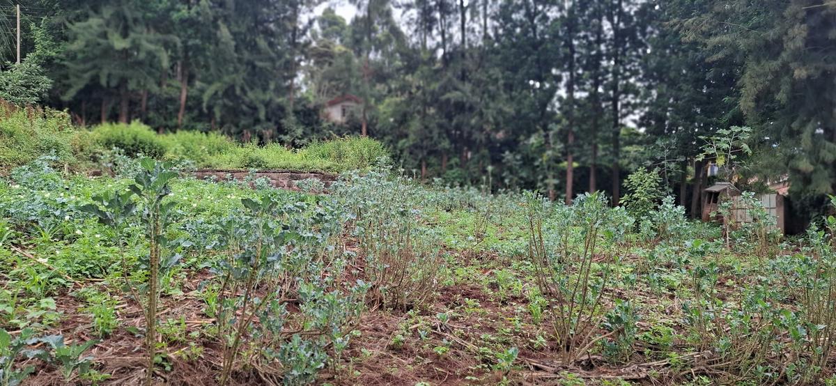 0.5 ac Land in Ngong - 5