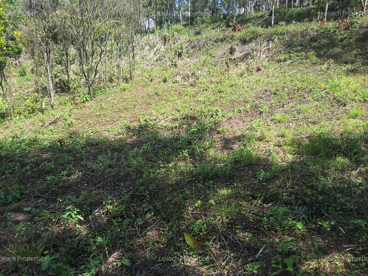 0.25 ac Residential Land in Ngong - 11
