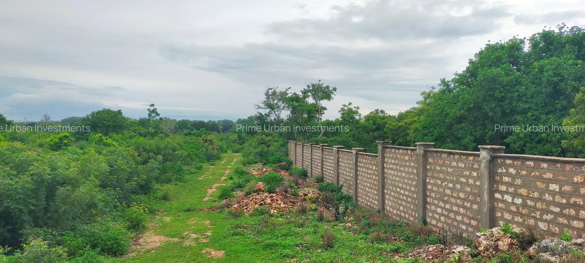 Land in Vipingo - 17