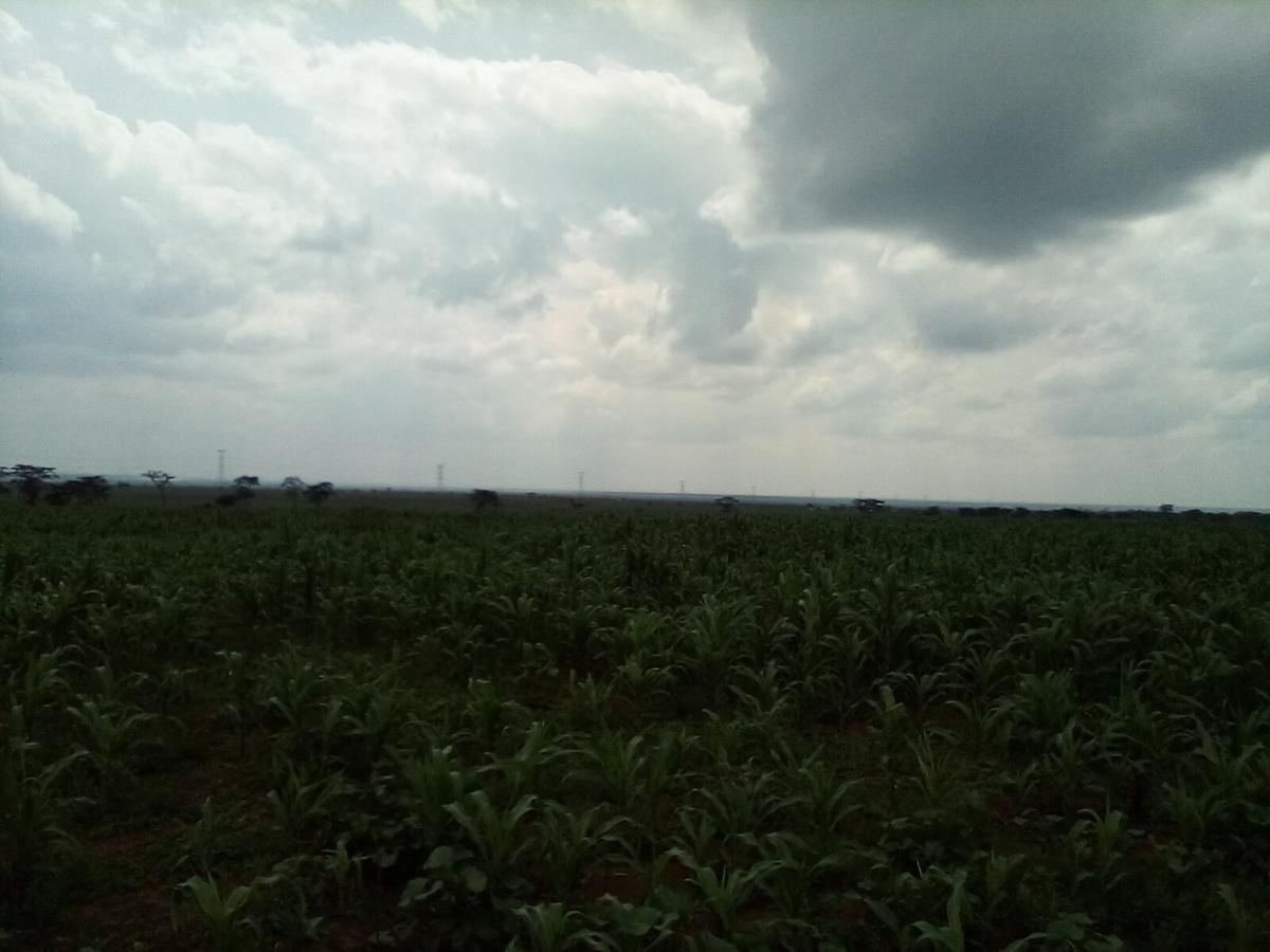 Land at Nanyuki-Rumuruti Rd - 9