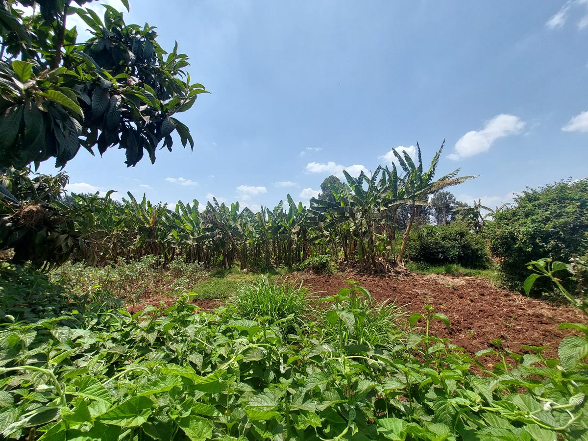 Residential Land at Kinanda Road - 7