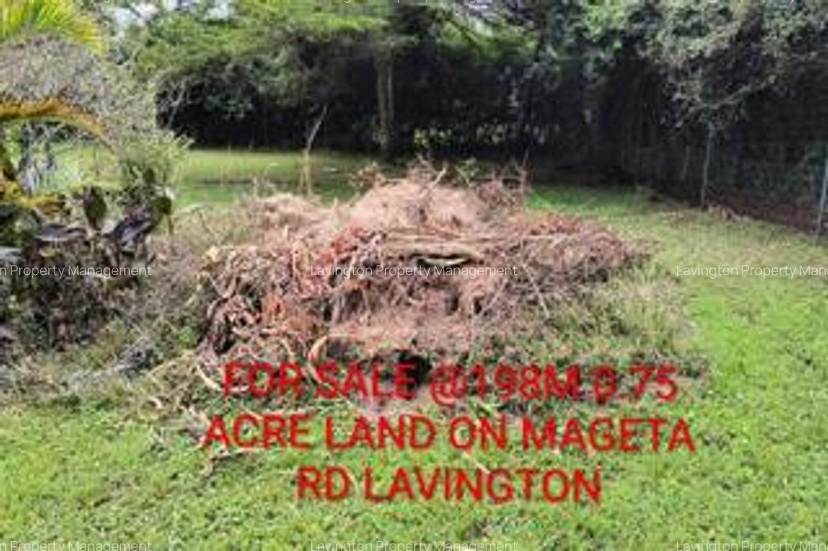 0.75 ac Residential Land at Mageta Road - 1