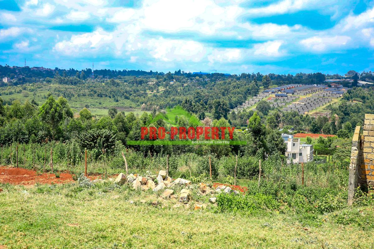 0.25 ha Commercial Land at Ondiri - 6