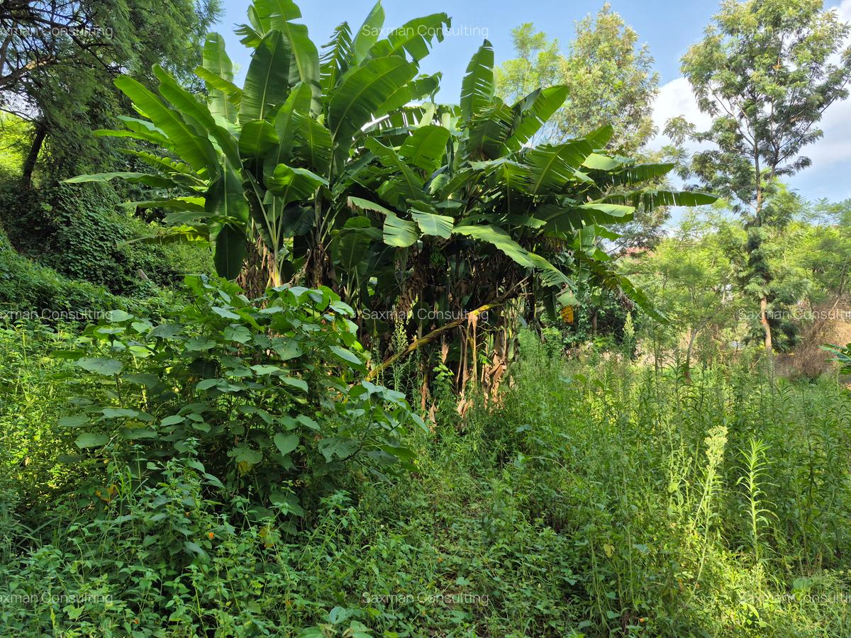 Land in Kitisuru - 6