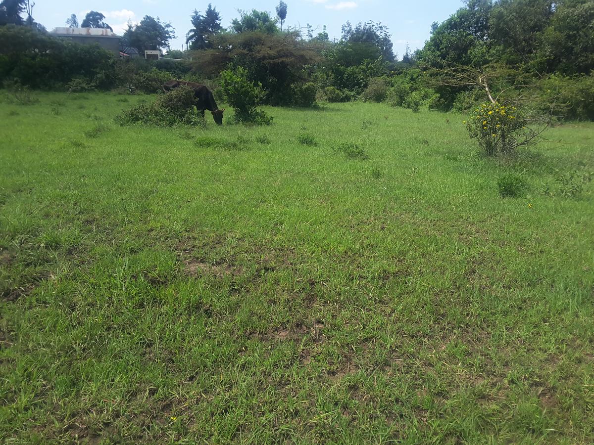 2 ac Land in Ongata Rongai - 7