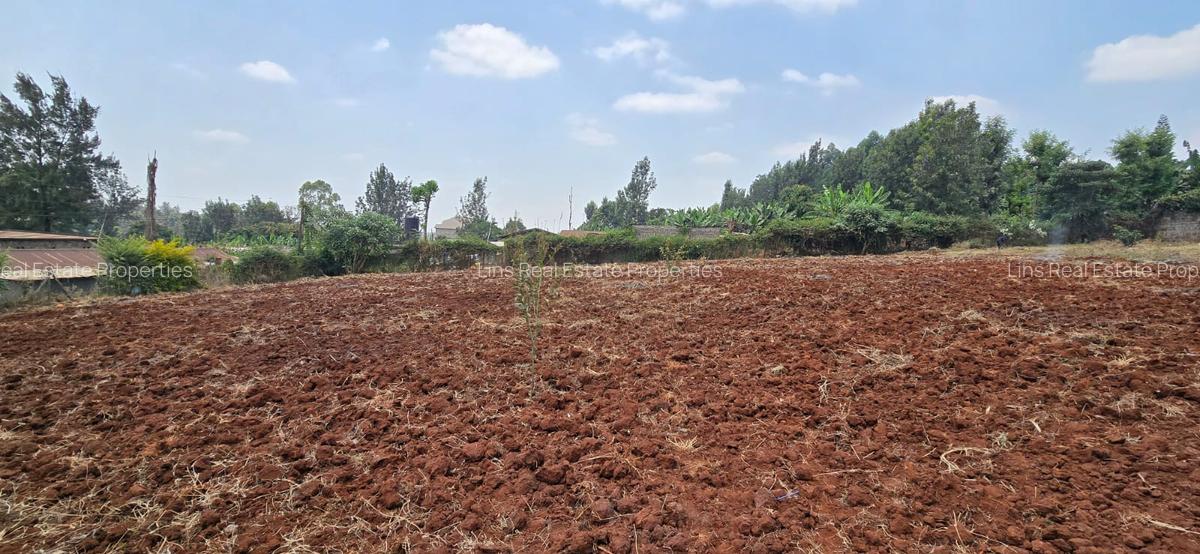 Land in Thindigua - 1