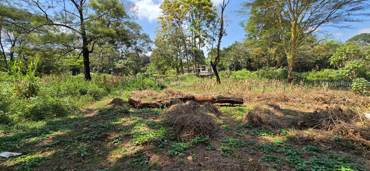 Residential Land at Spring Valley Lower Kabete - 2