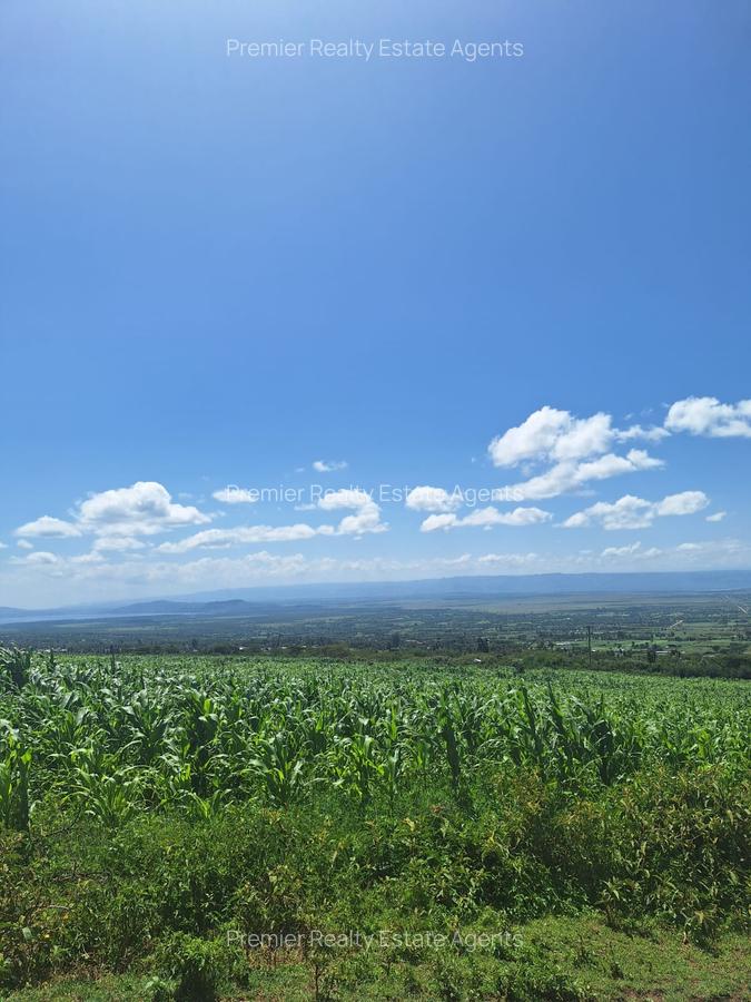 0.25 ac Residential Land at Nakuru - 11