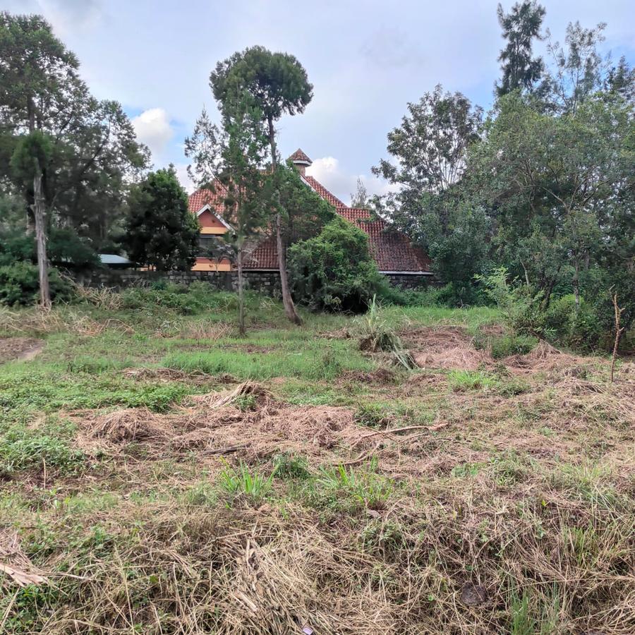 0.5 ac Land at Hillcrest Road - 11