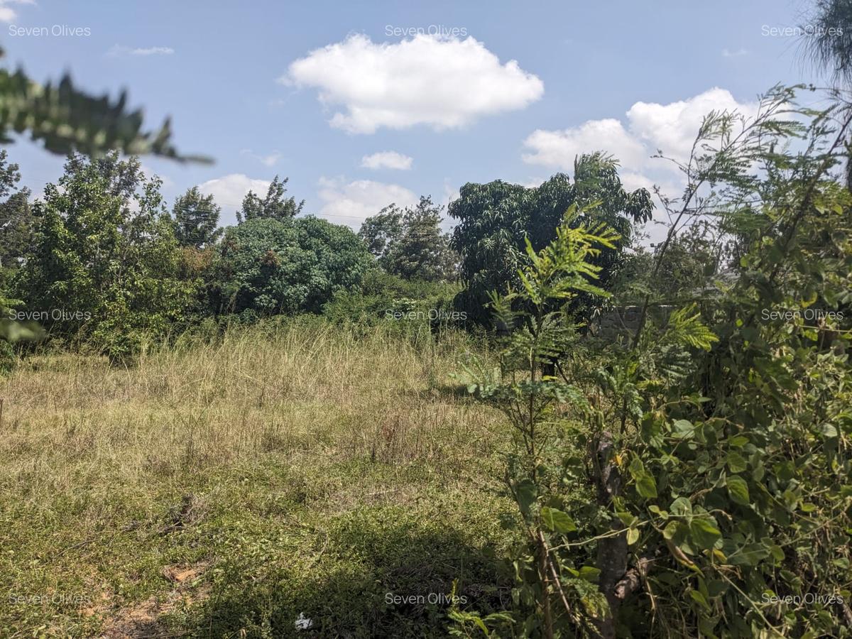 0.25 ac Land in Ruai - 3