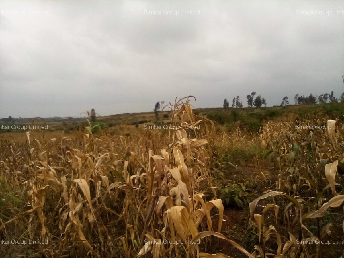 Land at Manira Trail - 9