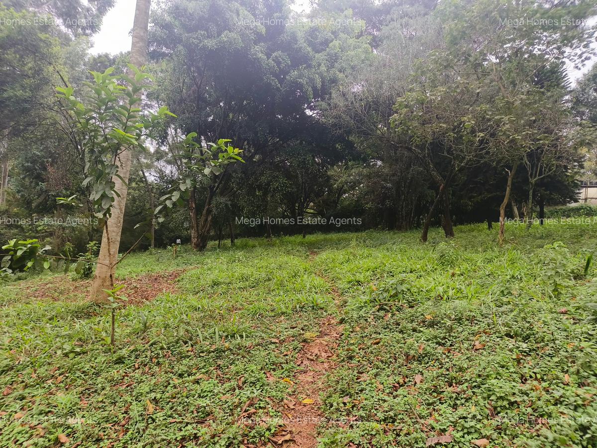 Residential Land in Kitisuru - 7