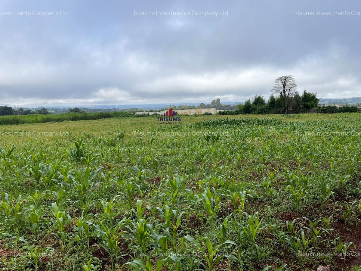 3.7 ac Land at Kiambu - 4