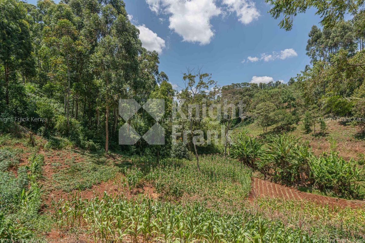 4.8 ac Land in Limuru - 13