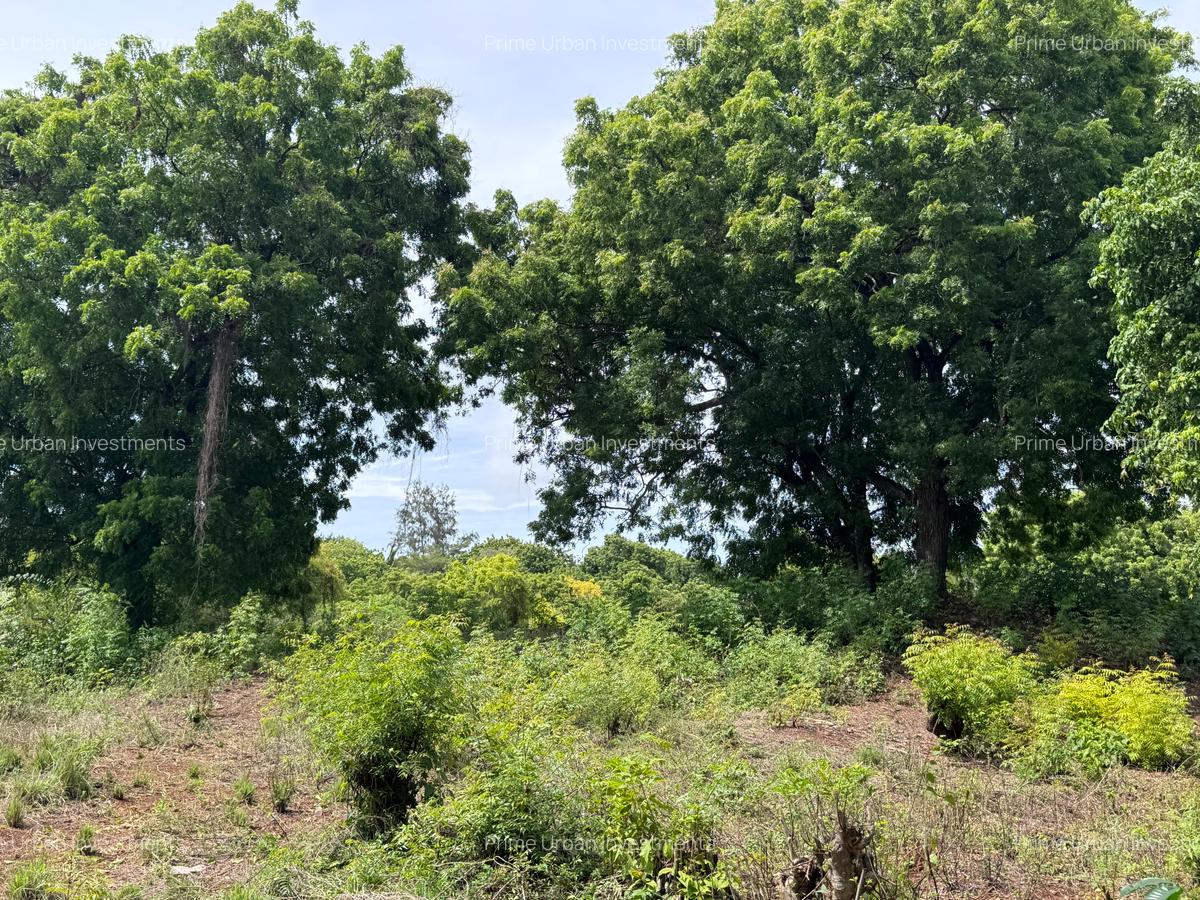 8,093.72 m² Land at Diani 3Rd Row Beach - 2