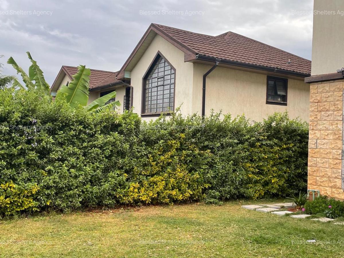 4 Bed Townhouse with En Suite in Kiambu Road - 20