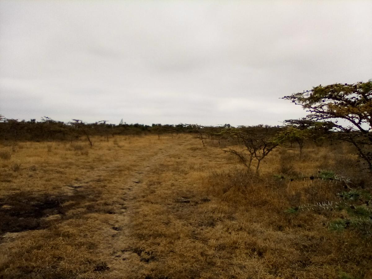 Land in Ongata Rongai - 10