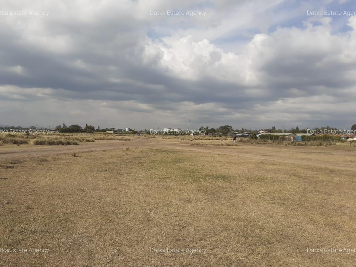 0.125 ac Land in Nanyuki - 10