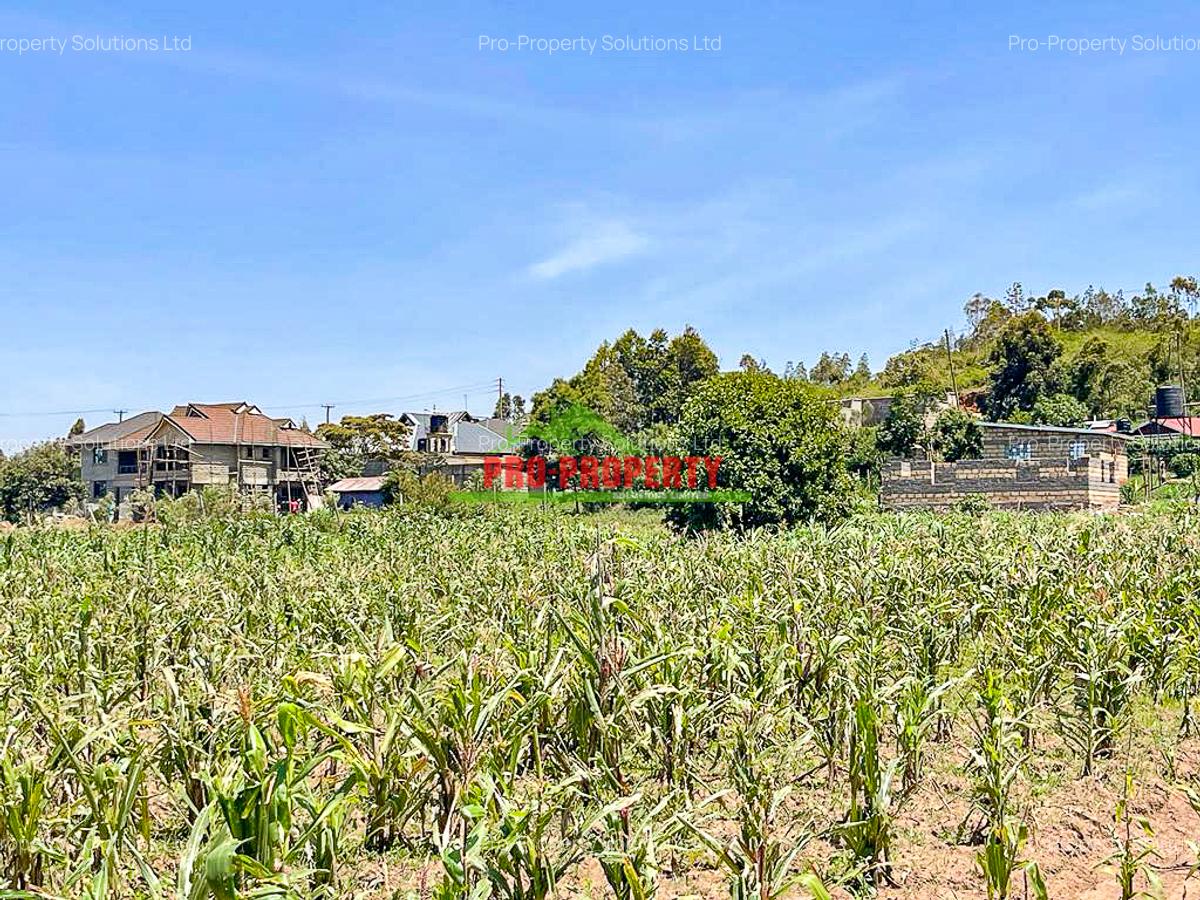 0.125 ac Residential Land at Kamangu - 17