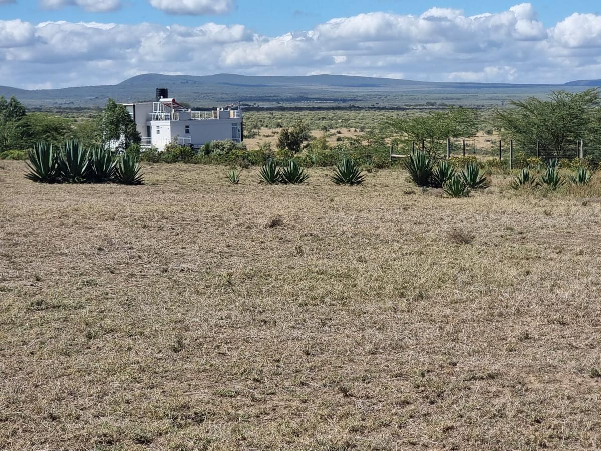 Land at Naivasha - 3