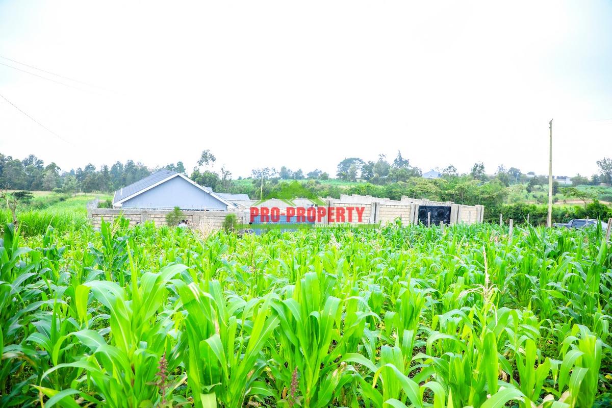 0.06 ha Residential Land at Kamangu - 9